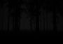 Study of Unusual: Forest of Secrets EN/RU Global Steam Digital Key