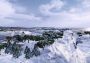 Railway Empire: Japan DLC Brazil Xbox One/Series Digital Key