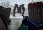 Generation Zero - Soviet Weapons Pack DLC Global Steam Digital Key