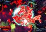 Hell Yeah! - Collection EN/DE/FR/IT/ES EU Steam Digital Key