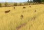 Forgotten Fields EN Global Steam Digital Key