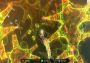 Sparkle 2 Evo EU Steam Digital Key