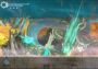 Afterimage EU PS5 Digital Key