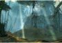 Guild Wars 2 Heroic Edition EU Official website Digital Key
