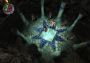 The Bard's Tale ARPG: Remastered and Resnarkled Argentina Xbox One/Series/Windows Digital Key
