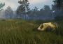 theHunter: Call of the Wild - Gold Bundle United States Xbox One/Series Digital Key