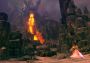 Guild Wars 2 - Permanent Gift Finisher + Mail Carrier Pack DLC Global Official website Digital Key