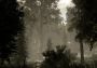 The Woods: VR Escape the Room Global Steam Digital Key