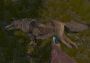 Ohota Krepkoe: I Love Drozdov Terra Viva DLC EN Global Steam Digital Key