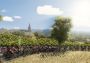 Pro Cycling Manager 2018 Global Steam Digital Key