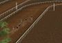 Horse Racing 2016 EN United States Xbox One/Series Digital Key