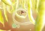 Botanicula Collector's Edition Global Steam Digital Key