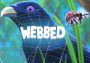 Webbed Global Steam Digital Key