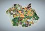 Pan'orama Global Steam Digital Key