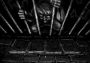 Judgement EN Global Steam Digital Key