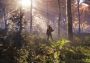 theHunter: Call of the Wild EN/DE/FR/PT/RU Global Steam Digital Key