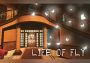 Life of Fly Argentina Xbox One/Series Digital Key