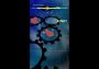 Groove Coaster EN/JA Global Steam Digital Key