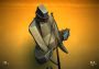 Zen Bound 2 EN Global Steam Digital Key