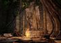 Dark Souls 2: Scholar of the First Sin EU Xbox One/Series Digital Key