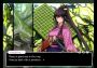 99 Spirits EN/JA Global Steam Digital Key