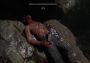 Sherlock Holmes: The Awakened EU PS5 Digital Key