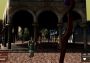 Terra Incognita EN Global Steam Digital Key