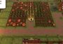 Harvest Life EN Argentina Xbox One/Series Digital Key