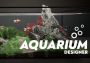 Aquarium Designer EN Global Steam Digital Key