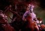 Agony EU Xbox One/Series Digital Key