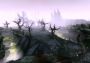 Guild Wars Nightfall Global Official website Digital Key
