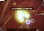 Bacterium EN/ZH Global Steam Digital Key