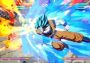 Dragon Ball FighterZ - FighterZ Pass EU Steam Digital Key