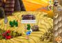 Pilot Brothers 3: Back Side of the Earth EN/RU Global Steam Digital Key