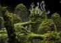 Samorost 3 EN/DE/FR/IT/PT/ES EU Steam Digital Key
