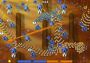 Mushroom Wars EN Global Steam Digital Key