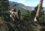 Arma 3 Ultimate Edition Global Steam Digital Key