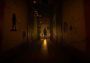 Transference EN/DE/FR/IT/PL/NL/PT/ES EU Ubisoft Connect Digital Key