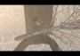 Siberian Run VR Global Steam Digital Key