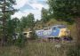 Train Sim World 2 - CSX C40-8W Loco DLC Global Steam Digital Key