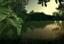 Ultimate Fishing Simulator - Amazon River DLC Global Steam Digital Key