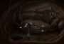 Primordia EN Global Steam Digital Key