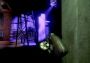Receiver 2 EN Global Steam Digital Key