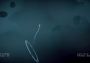 Lost In Space 2 EN/DE/FR/IT/ES Global Steam Digital Key