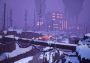 Endling: Extinction is Forever EU Steam Digital Key