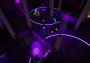Don't Die, Minerva! EN Global Steam Digital Key