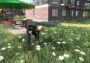 Farmer's Dynasty EU Xbox One/Series Digital Key
