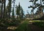 A Walk in the Woods VR EN Global Steam Digital Key