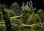 Samorost 3 Cosmic Edition Global Steam Digital Key
