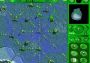 MoonBase Commander EN Global Steam Digital Key
